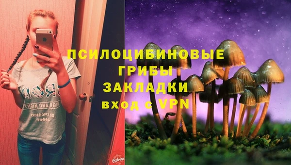 шишки Алексеевка