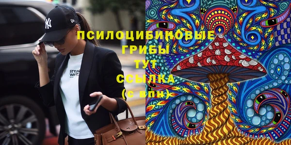 шишки Алексеевка