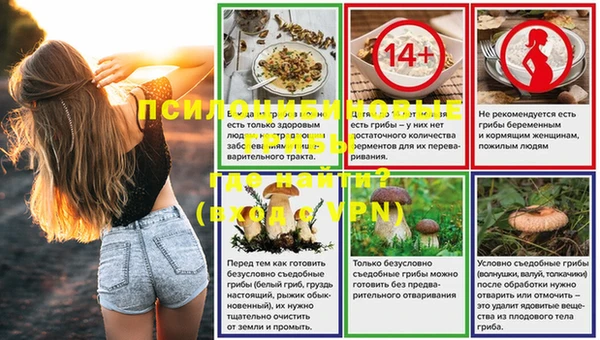 прущие грибы Алексин
