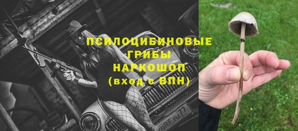 прущие грибы Алексин