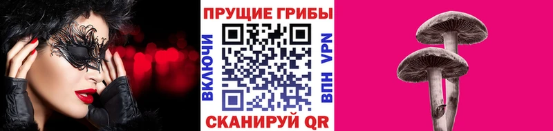 Псилоцибиновые грибы Cubensis  магазин    Малаховка 